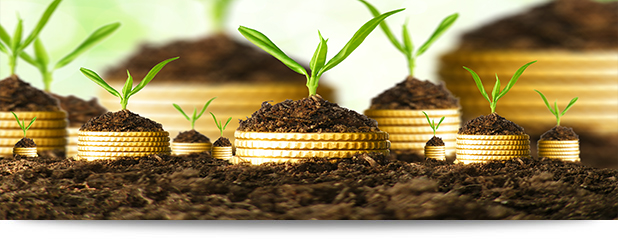 money stems